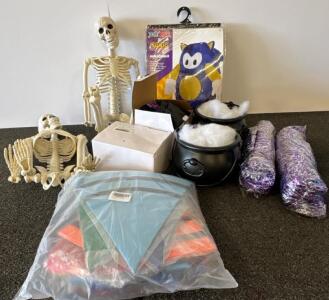 Inflatable riding cat costume and Sonic Inflatable Kid's Costume, 3ft Skeletons, Cauldrons & Halloween Decor Bundle