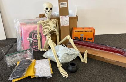 Mixed Home Lot: Solar Charge Controller, 2 Skeletons, Silk Cloth Wallpaper, Bird Feeder, and more