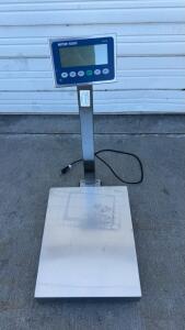 Mettler Toledo BBA236-4B60 Floor Scale, 132lb/60kg, 16x20" Platform, IND236 Indicator, S/N B730438099