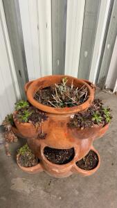 Large Terracotta Strawberry Planter Pot, 6 Side Pockets, 18"x16", with Live Succulents