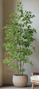 7Ft Artificial Ficus Tree For Indoors