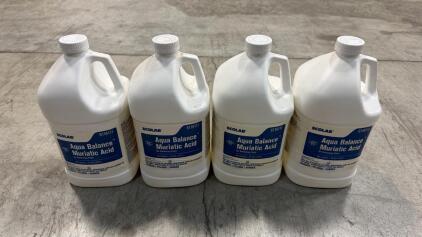 Ecolab Aqua Balance Muriatic Acid 1 Gallon Jug, 31.45% HCl Pool Chemical, 4 Pack