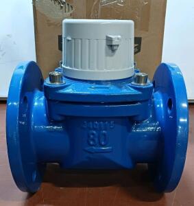 3&rdquo; Electromagnetic Water Flow Meter, Flanged, IS 400 Standard, DN80, Pulse/Analog Output New