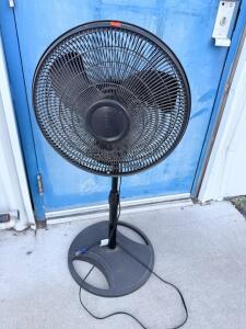 Lasko 16" Oscillating Pedestal Fan, Adjustable Height, 3-Speed, Manual Controls, Black
