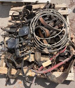 Antique Draft Horse Team Harness Set&mdash;Leather with Red Hames, Rope Lariat, Full Tack. 5 Bridles some with blinders.