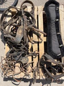 Vintage Draft Horse Harness Set &ndash; Double Team, Leather/Wood/Steel, Draft Size, Antique Farm. Horse harness tack, Gem Line Fleece Longe Pad, Adjustable Fit. Horse Driving Bridle with Blinders, Steel Curb Bit & Reins, Leather Harness Tack.