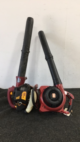 (2) Gas Powered Blowers