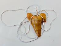 Otodus Obliquus Eocene Shark Tooth Fossil Pendant, Morocco, Wire-Wrapped, Necklace Included - 2