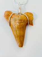Otodus Obliquus Eocene Shark Tooth Fossil Pendant, Morocco, Wire-Wrapped, Necklace Included - 3