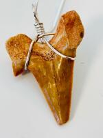 Otodus Obliquus Eocene Shark Tooth Fossil Pendant, Morocco, Wire-Wrapped, Necklace Included - 4