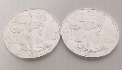 (2) 1 oz. Fine Silver One Dollar Rounds