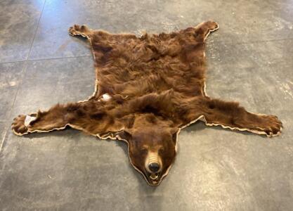 Taxidermy Bear Skin Rug, Brown, Full Open Mouth Mount, 6ft Size, Felt Back, Visible Wear
