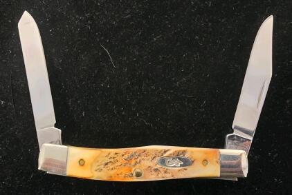 Case XX 52032 SS USA Stag Handle 2-Blade Jack Knife, Clip & Pen Blades, Slip Joint