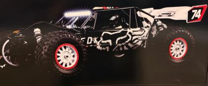 Losi Tenacity DB Pro RC Car