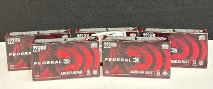 Federal American Eagle .223 Remington 55gr FMJ-BT, 100 Rounds, Lot-Labeled, Brass, USA