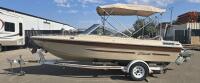 1986 17ft Tempo Seaswirl Boat And Trailer - 2