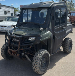 2014 HONDA PIONEER