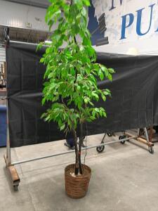 6 ft Artificial Ficus Tree in Woven Basket Planter &ndash; Silk Leaves, Indoor Decorative Plant