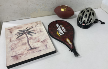 Wilson Pro Super High Beam Racquetball Racket, Bell Bike Helmet, Wilson Football, Palm Tree Wall Art!