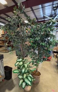Artificial Ficus Trees (78-84 in) and Dieffenbachia Plant (36-42 in) with Wicker Baskets