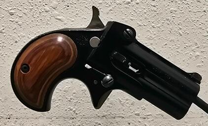 Cobra Enterprises C32 Derringer .32 Auto, 2.75" Barrel, Wood Grips, Serial 008227