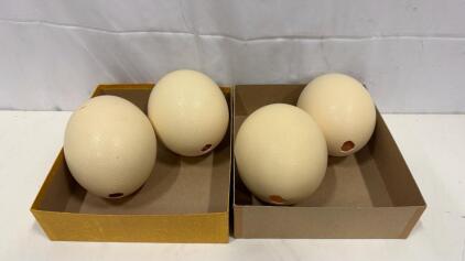 (4) Real Ostrich Egg 6" Tall Home Decor