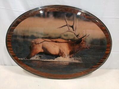 Oval Wooden Plaque with Laminated Bull Elk Wildlife Scene, 24"x18", Glossy Rustic Wall Art
