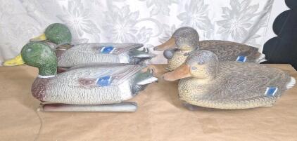 (2) Pair Of Vintage Mallard Drake Duck & Hen Decoys