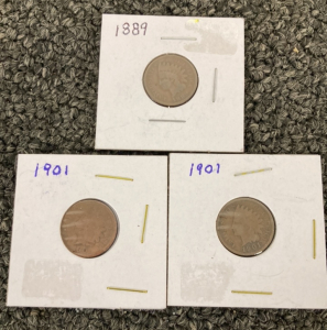 (3) Indian Head Pennies