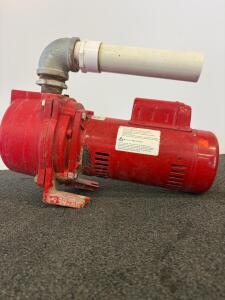 Red Lion RJS-100-PREM 1 HP Shallow Well Jet Pump, 23.2 GPM, 115/230V, Cast Iron