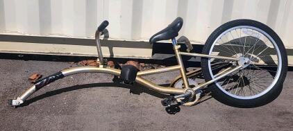 Instep Pathfinder Tag-Along Bike, 20" Wheel, Steel Frame, Single Speed, Quick-Release Hitch