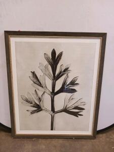 Framed Botanical Art Print &ndash; 26"x30" Dark Brown Wood Frame, Black & White Leaf Study