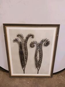 Framed Botanical Art Print of Curled Fern Fronds, 24&rdquo; x 30&rdquo;. Sp16