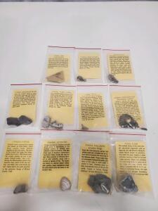 Educational Fossil Collection Set: 11 Labeled Specimens, Cambrian-Jurassic, Utah & More Provenance