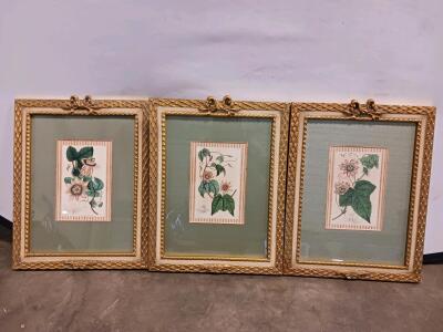 Set of 3 Framed Botanical Art Prints (Passion Flowers) in Ornate Gilded Frames