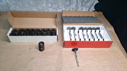 (1) Box Of (16) Used Valve Springs & (1) Box Of (16) Used Valves