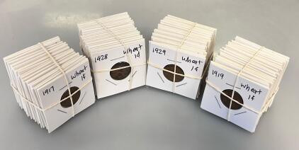 Early 1900s Lincoln Wheat Cents Bulk (1917&ndash;1929), Approx. 80&ndash;100 Coins, Circulated