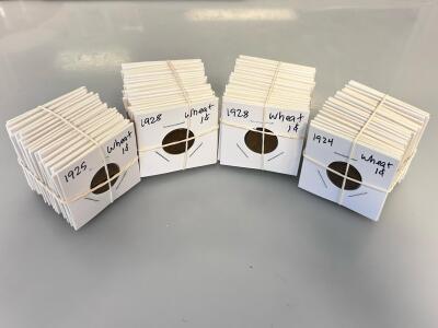 Lincoln Wheat Pennies 1917-1929 - US 1&cent; Coins In 2x2 Holders, Multiple Years Approximately 80-100 Coins