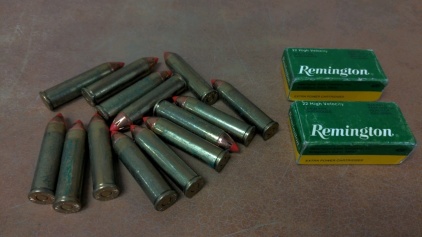 460 S&W Mag & 22 High Velocity Rounds