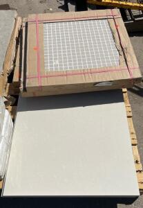 24" x 24" Porcelain Floor/Wall Tiles, Light Beige/Cream with Subtle Marbling