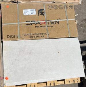 SPARTEN Marvelous Marble Glazed Vitrified Tiles, 300x600mm, Social White, Glossy Finish