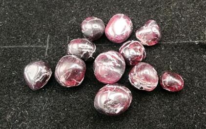 65.05 Ct. 11 Pieces Natural Idaho Star Garnetd Tumbled/Polished