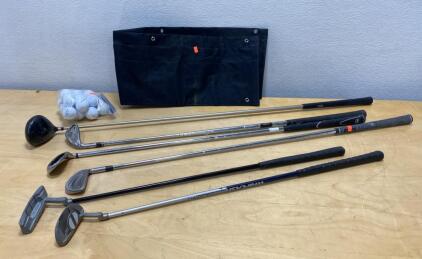 Mixed Golf Club Set with Driver, Irons, Two Putters, Balls, and Organizer - Titleist DCI 981 Iron
