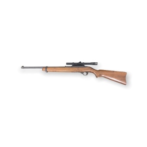 Ruger 10/22, .22LR Semi Auto Rifle