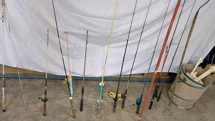 Mixed Lot of 11 Fishing Rods With Reels, Various Types and Colors, Includes Soft Bucket & Holders