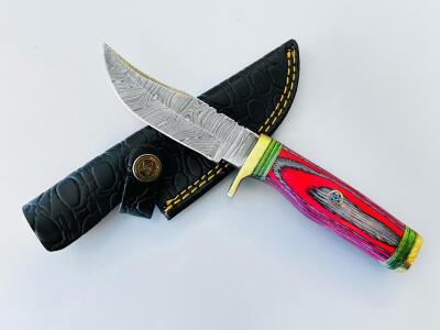 Custom Damascus Fixed Blade Knife, Multicolor Handle, Brass Guard, Leather Sheath, Clip Point