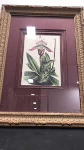 Purple Flower