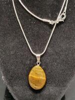 Picture Jasper Stone Necklace on .925 Chain