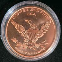(6) 1 oz. .999 Copper Dinosaur Rounds - 13