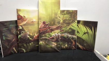 Reptiles
